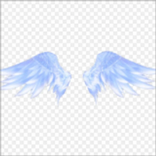 FLY_
