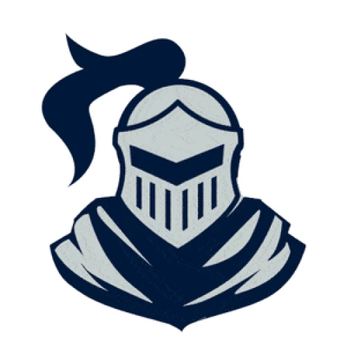 Bitch Knight