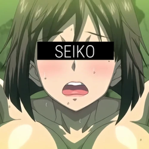 Seiko HMV 