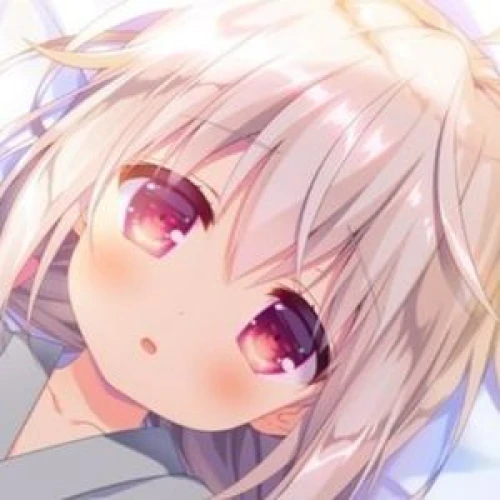 Sora_aa