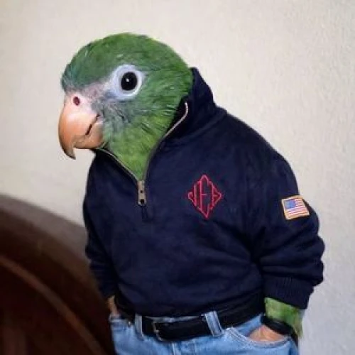 Jico Sama
